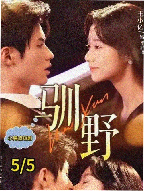 热播剧集在线看 完播率分析